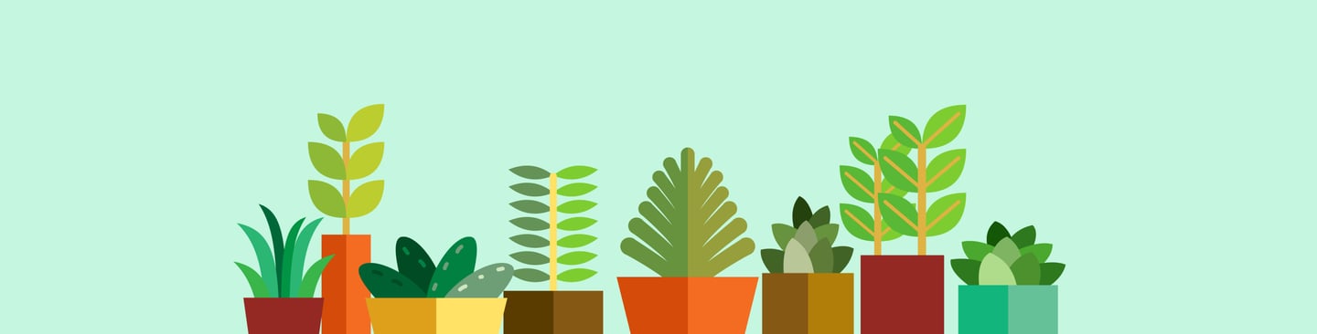 blog-plants
