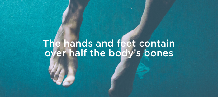 bone-fact