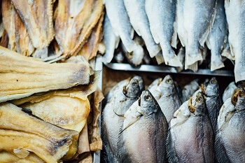 Oily fish such as salmon are great for your brain