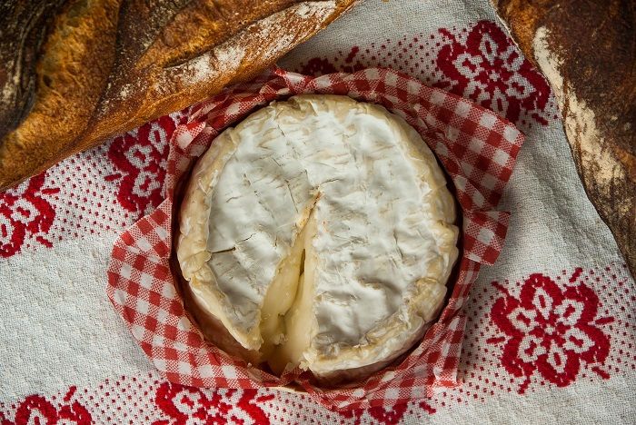 Cheese Cheese