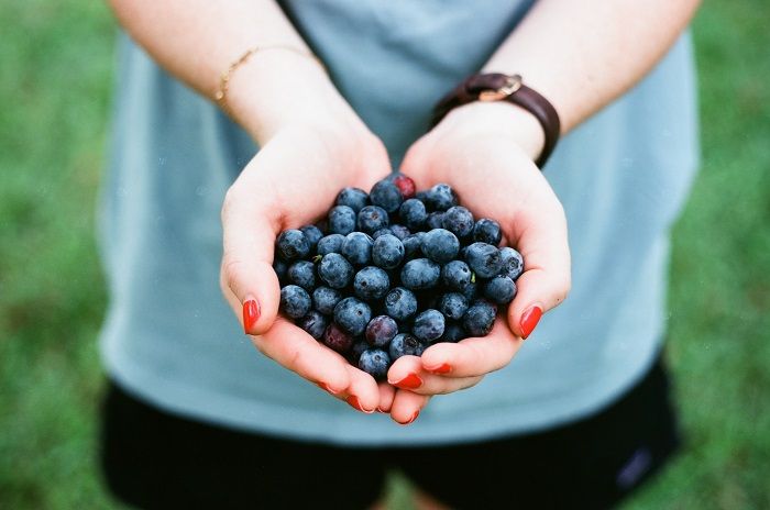 Fruit Fruit