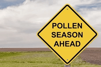 Yellow diamond danger sign reading "pollen season ahead"