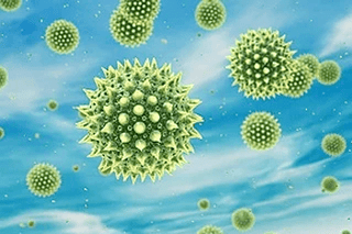 3D pollen particles