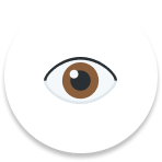 Icon of eye
